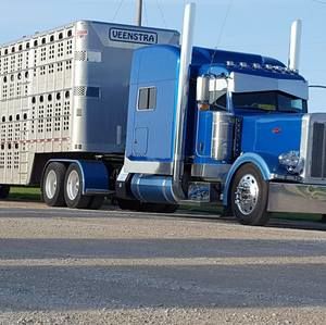 Meet your Posher, Randy